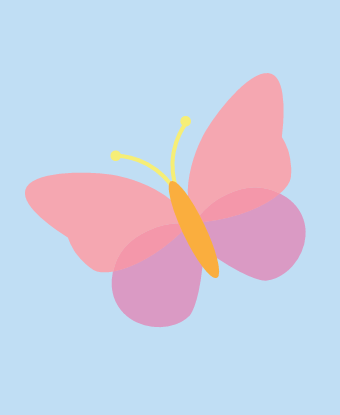 butterfly