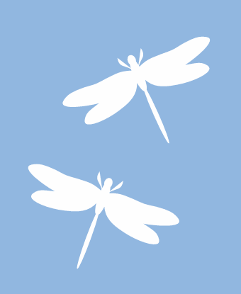 dragonfly outline