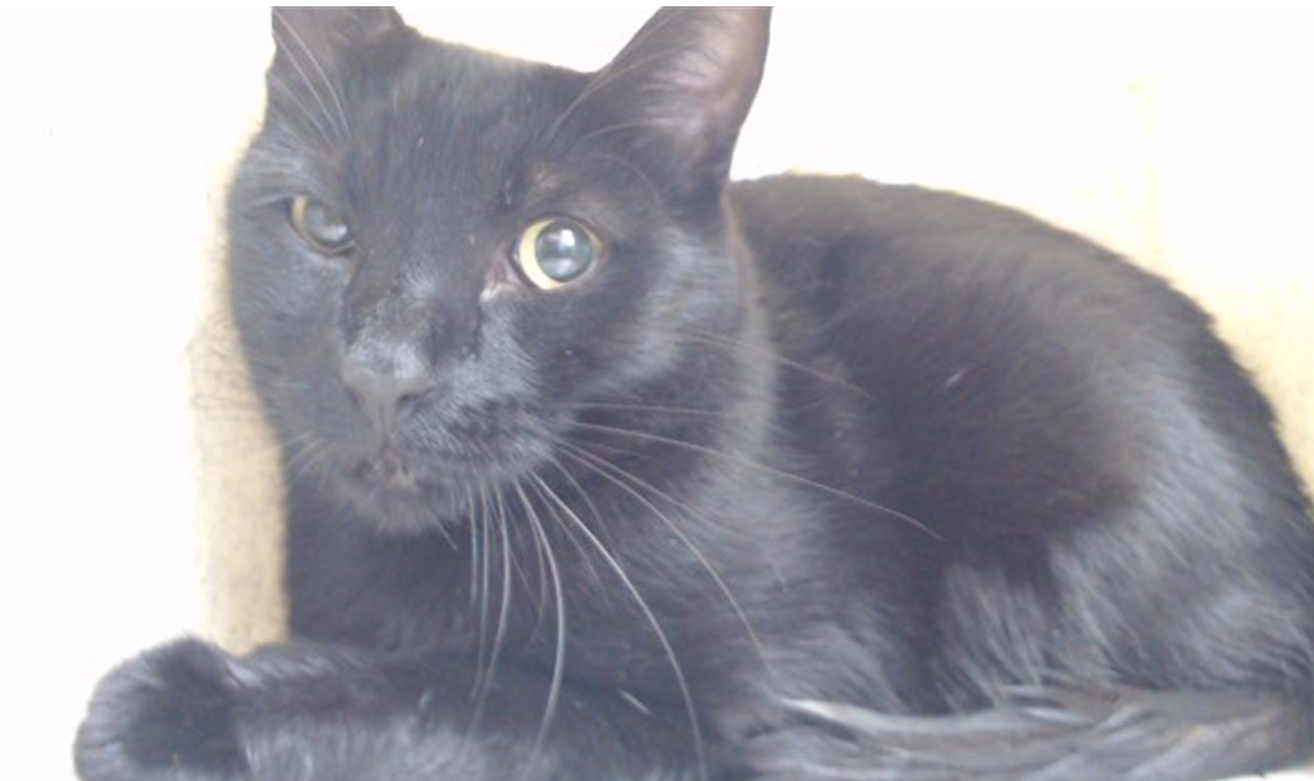 Salem